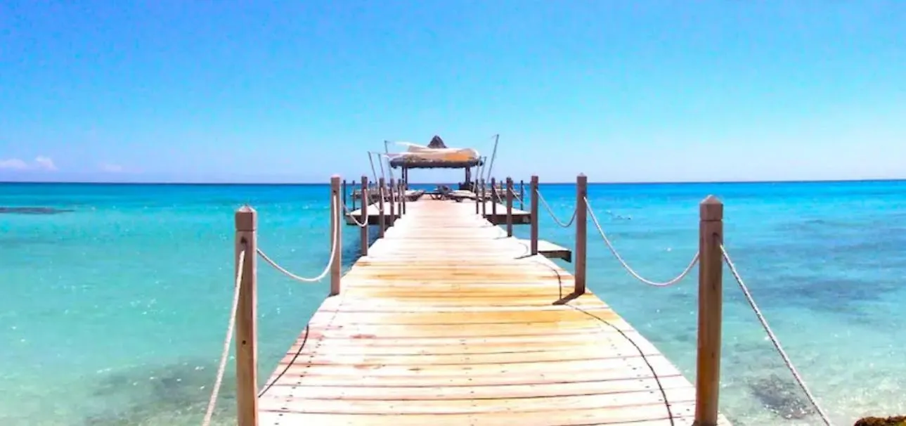 Апартаменты Cadaques Caribe Palmera 101 Байяибе Доминиканская Республика